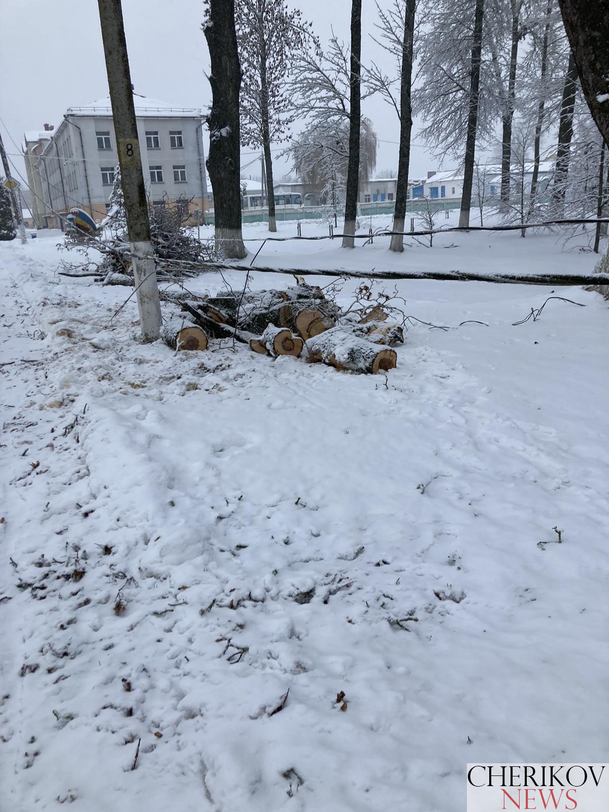 Последствия снегопада в Чериковском районе: электричество есть, но не везде