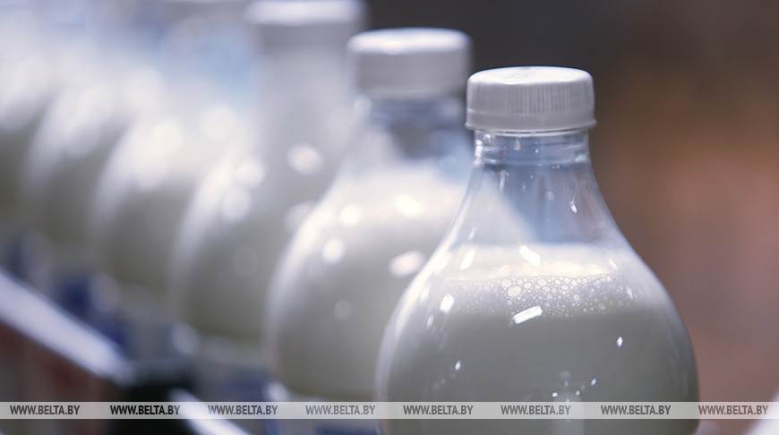 В Беларуси за 2022 год произведено 7,6 млн тонн молока