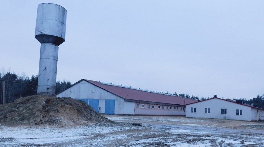 Ветврач провалился в открытый колодец на территории фермы в Климовичском районе