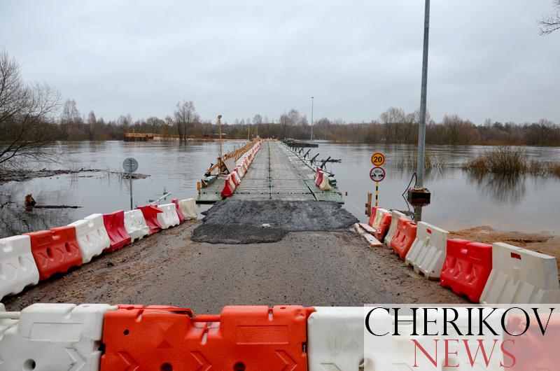Из-за паводка закрыт понтонный мост в Черикове. Как работают службы, и стоит ли беспокоиться жителям района?
