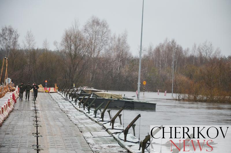 Вывоз мусора, доставка почты и когда снова можно будет ехать по понтону — вопросы, поступившие на «горячую линию» Чериковского райисполкома