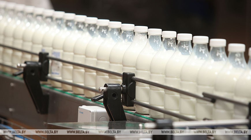 Заяц: за первый квартал 2023 года производство молока в Беларуси выросло на 5%