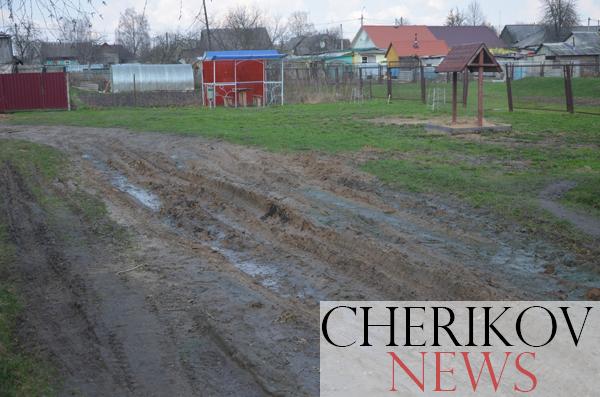 В век высоких технологий. Почему перспектива безграничных возможностей радует не всех чериковлян?