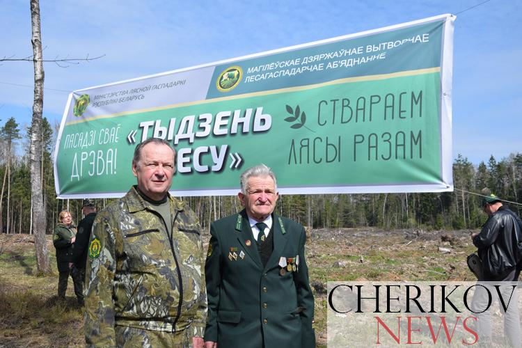 На Чериковщине созданы памятные лесные культуры