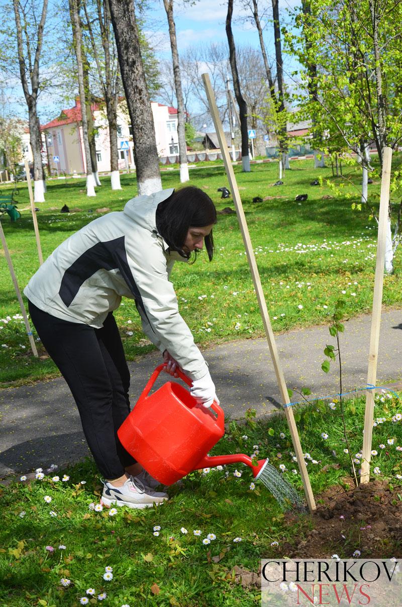 На районном субботнике городской парк Черикова пополнился новыми молодыми деревьями
