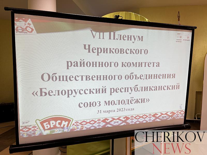 В Черикове прошел VII Пленум районного комитета БРСМ
