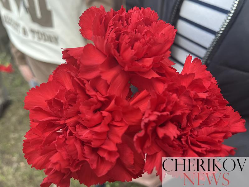 Аллея из лип «Память поколений» появилась в Черикове