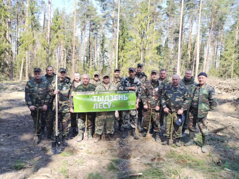 Сотрудники межрегиональных инспекцией охраны животного и растительного мира Могилевщины посадили лес в Чериковском районе