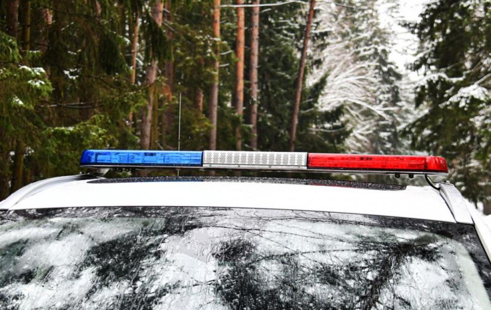 В Могилевской области за выходные задержано 13 пьяных водителей и 33 бесправника