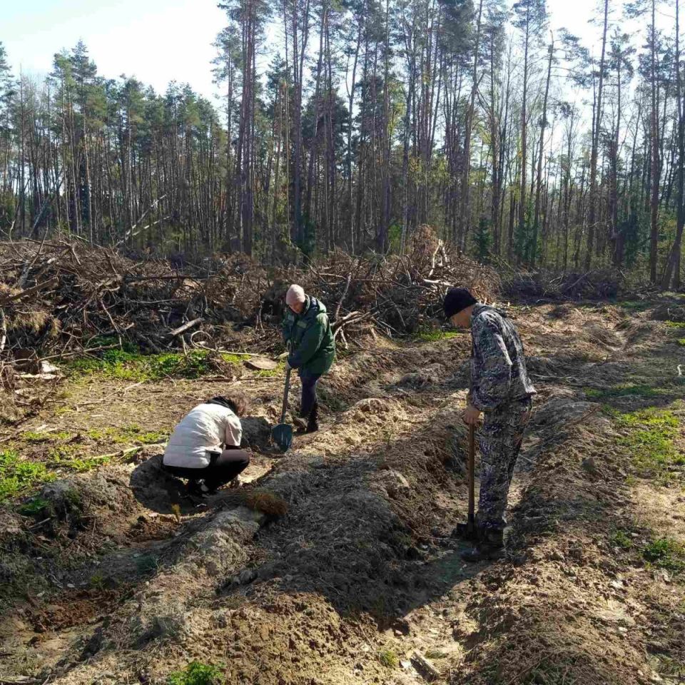 Чериковское отделение Департамента охраны приняло участие в «Неделе леса»