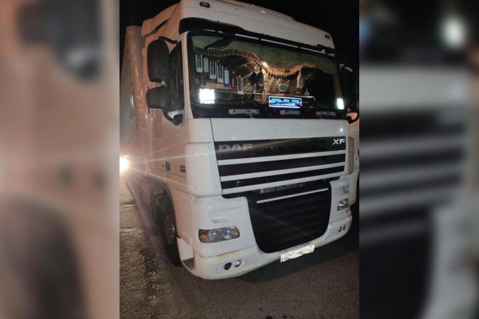 Могилевскими таможенниками выявлен факт незаконной транспортировки 20 тонн груш