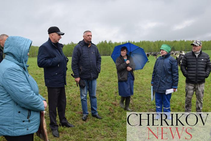 На очередном семинаре в Чериковском районе обсудили готовность к пастбищному периоду