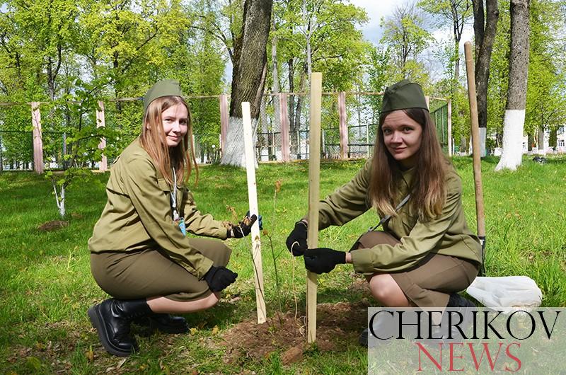 Работающая молодёжь Чериковского района приняла участие в трудовой акции в честь Дня Победы