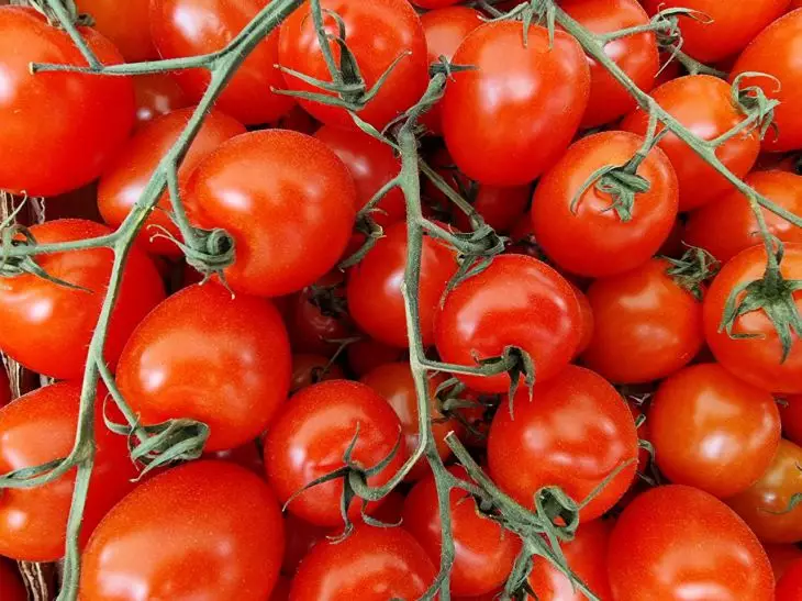 Мясистые и сочные томаты вымахают на грядке после всего одной подкормки в июне: запоминайте рецепт
