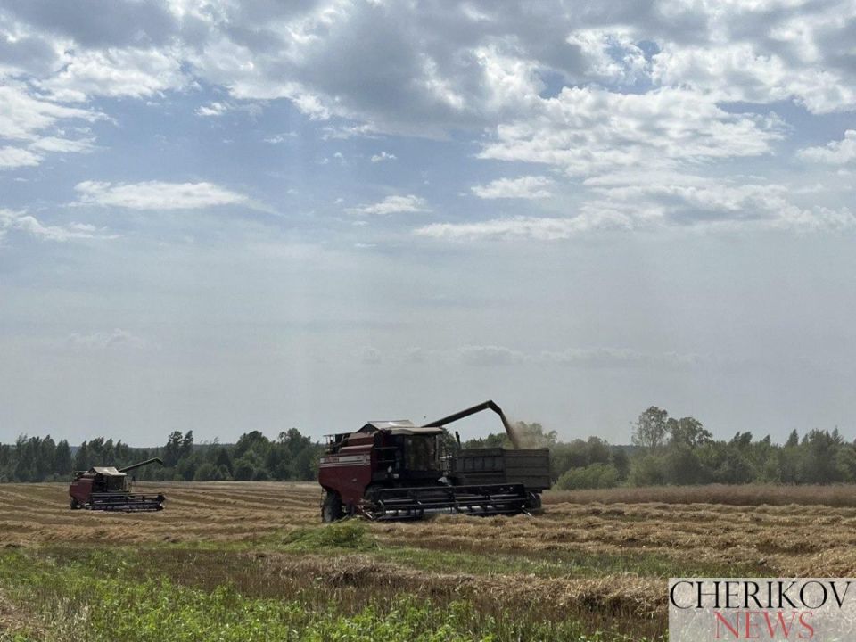 В Чериковском районе убрали больше половины площадей зерновых и зернобобовых культур