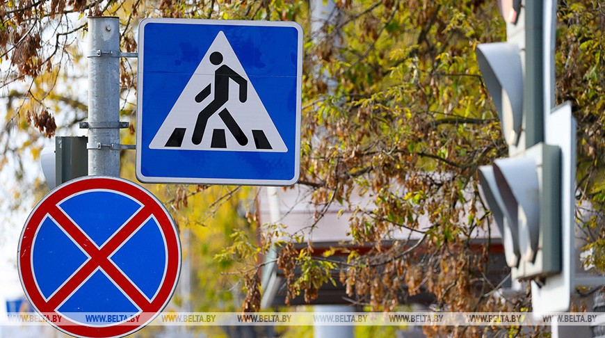 В Могилевской области за выходные 116 пешеходов привлечены к ответственности за нарушение ПДД