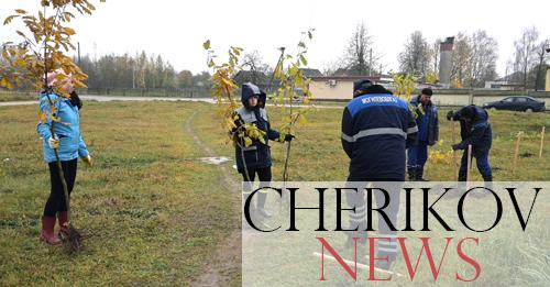 В Черикове присоединились к Единому дню озеленения