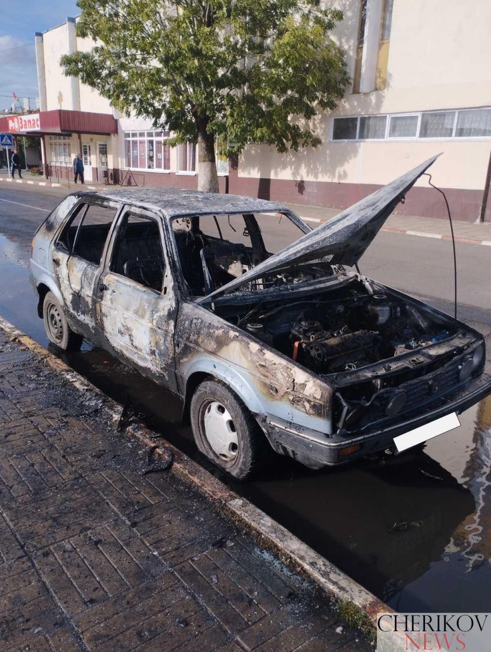 В Черикове сгорел автомобиль