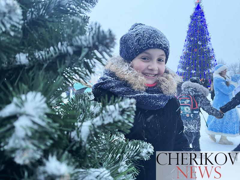 В полной красе: В Черикове зажглись огни на главной елке