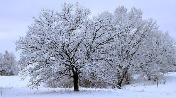 Оранжевый уровень опасности из-за сильного снега и порывистого ветра объявлен на 18 января