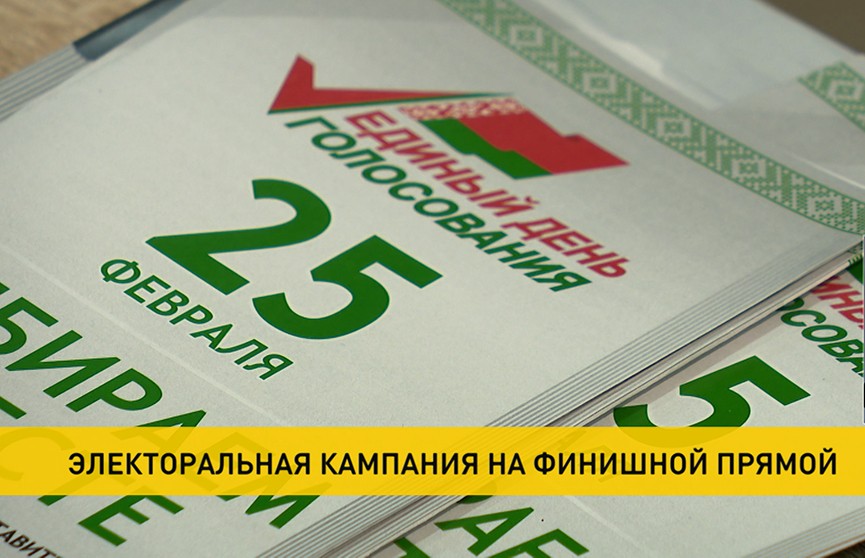 Досрочное голосование на выборах депутатов в Беларуси стартует 20 февраля