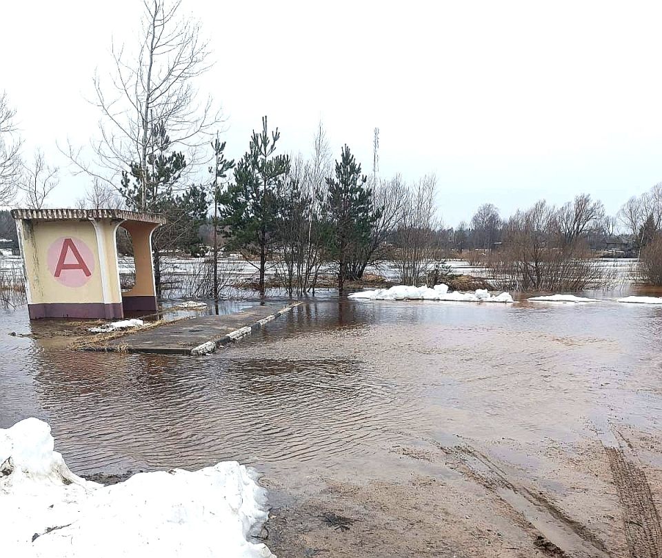 В Чериковском районе подтопило участок дороги возле деревни Пильня