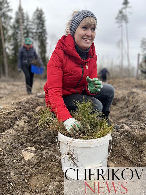 В Черикове присоединились к акции «Аднавiм лясы разам!»