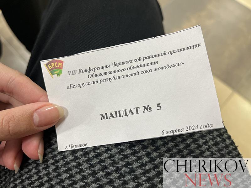 Молодежь определила приоритеты. В Черикове прошла VIII конференция районной организации ОО «БРСМ»