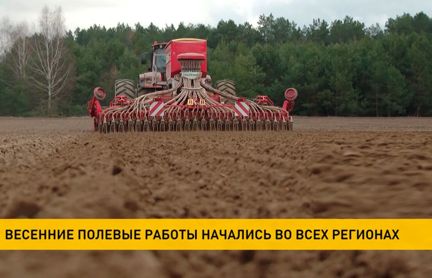 Весенние полевые работы начались во всех регионах Беларуси