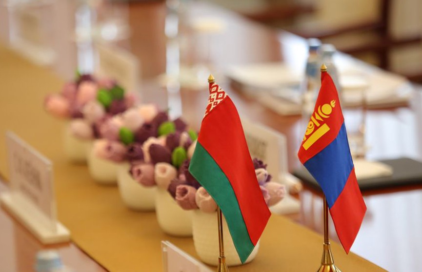 Александра Лукашенко ждут с визитом в Монголии