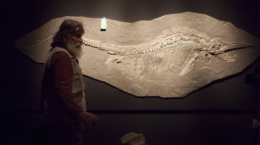 На западе Англии обнаружили останки крупнейшего ихтиозавра