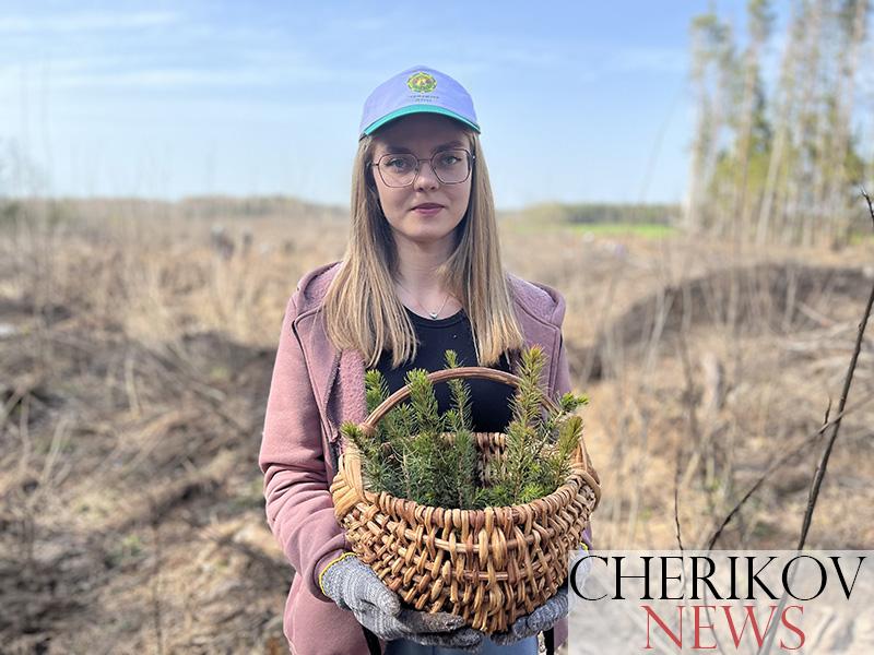 Молодежь Чериковщины приняла участие в акции «Аднавiм лясы разам!»