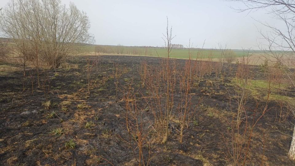 Чериковские спасатели выезжали на возгорание сухой растительности
