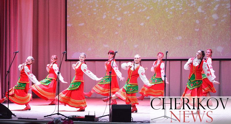 Праздничным концертом в Черикове отметили День семьи
