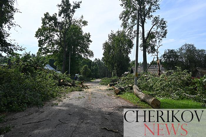 Энергетики продолжают восстановительные работы после разгула стихии в Чериковском районе