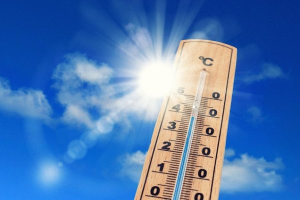В Европе из-за жары этим летом погибли более 24 тыс. человек