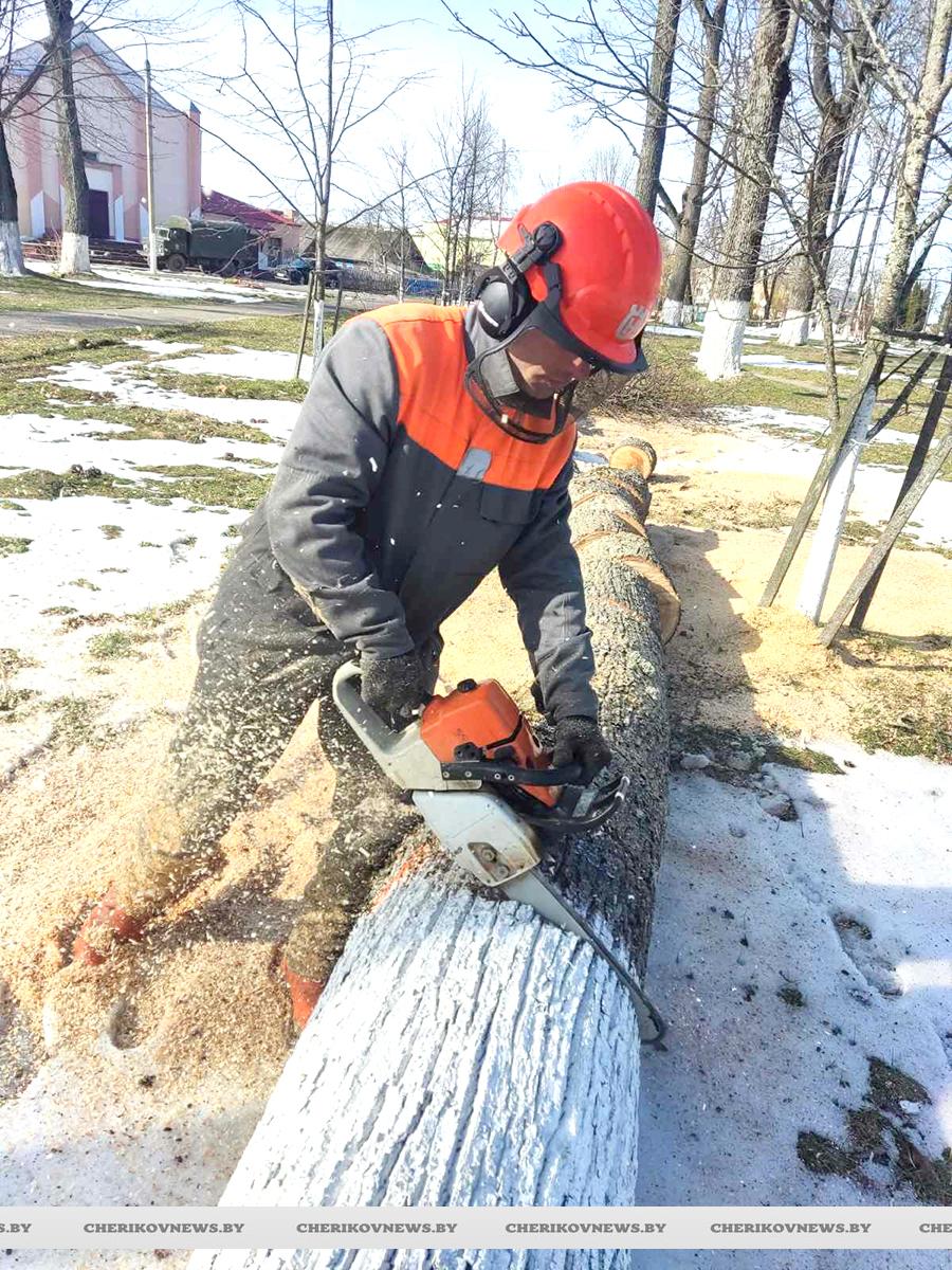 Жители Чериковского района присоединились к наведению порядка в рамках республиканского субботника