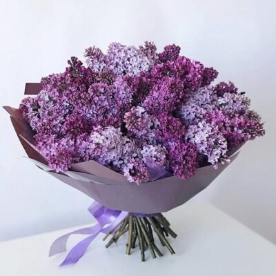 Как сохранить свежесть и красоту букета сирени