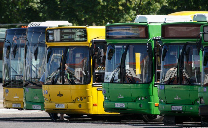 Расписание автобусов для гостей праздника в Александрии
