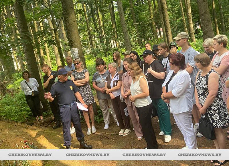 Чериковляне узнали, какие ужасы творили нацисты в Казимировском лесу в Могилеве