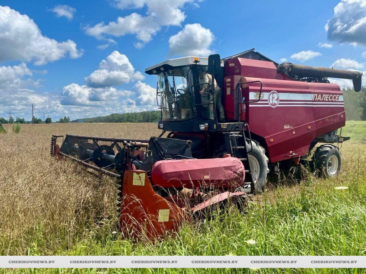 В Чериковском районе проходит месячник безопасной уборки урожая