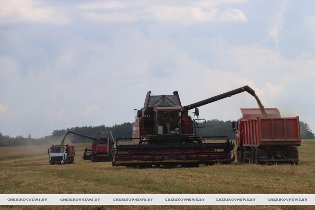 Уберечь урожай: правила пожарной безопасности во время уборки зерновых