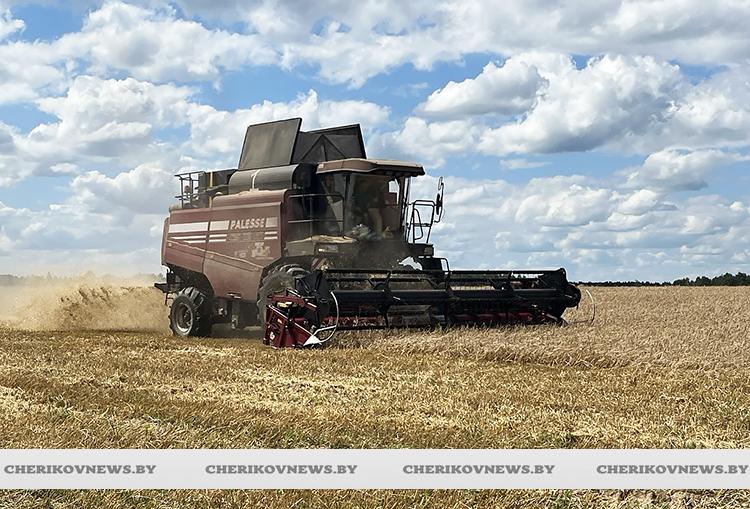 В Могилевской области убрано 59% зерновых и зернобобовых