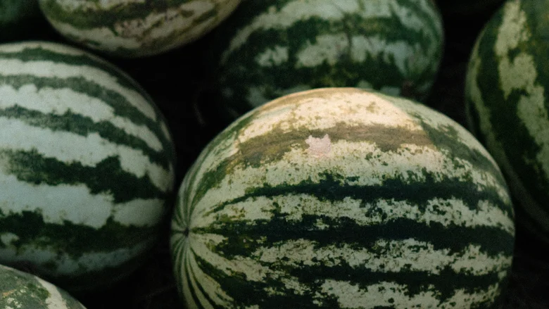 5 сентябрьских продуктов, которыми проще всего отравиться