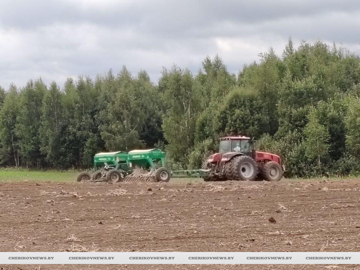 В Чериковском районе приступили к озимому севу зерновых культур