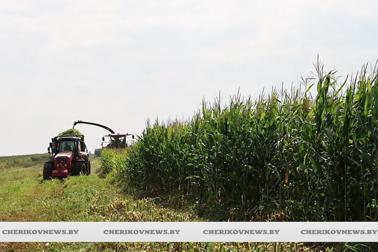 КГК Могилевской области проверил ход заготовки кормов в сельхозорганизациях региона