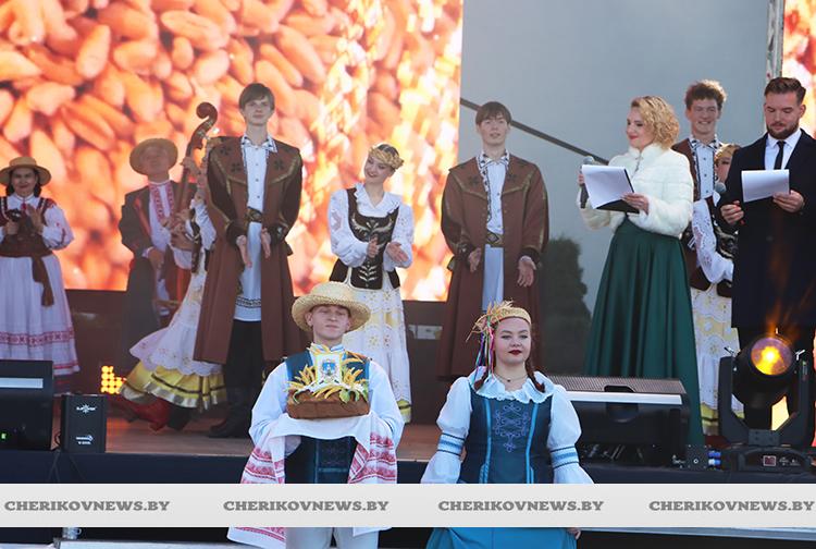 Ярко, гостеприимно, самобытно: в Кричеве прошел областной фестиваль-ярмарка «Дожинки—2025»