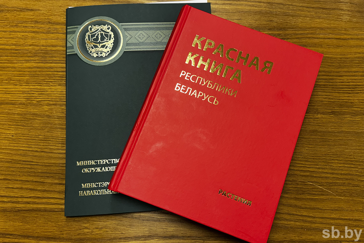 Презентация пятого издания Красной книги Беларуси планируется к концу 2025 года