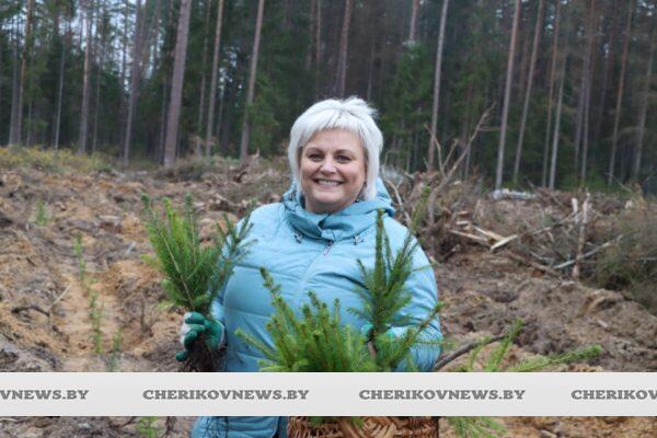 В Чериковском районе продолжается акция «Дай лесу новае жыццё»