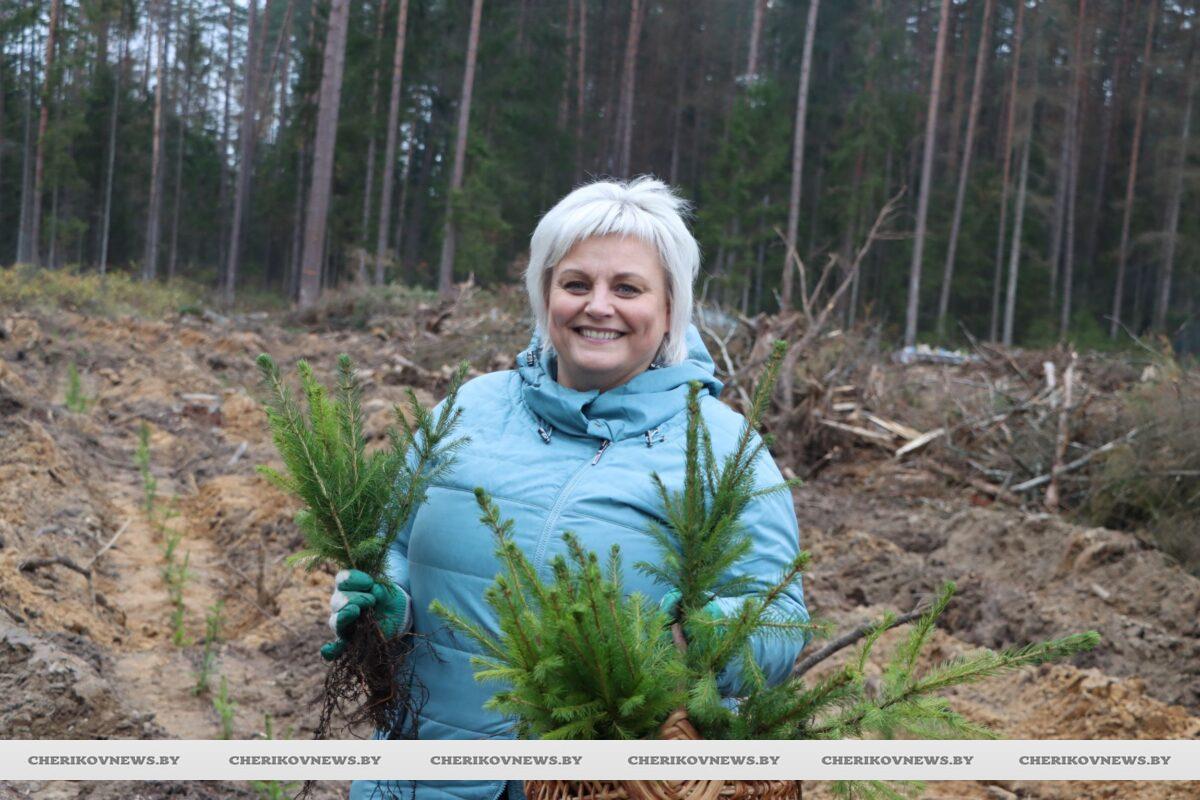 В Чериковском районе продолжается акция «Дай лесу новае жыццё»